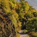 KR7 7419