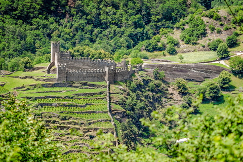 KR7 1975