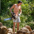 Lumberjack