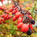 20161017-DSC09949