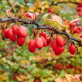 20161017-DSC09951