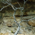 20160917-DSC08062.jpg