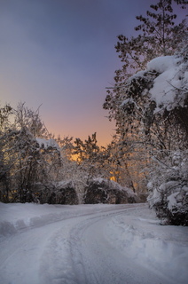 Winter
