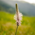 KR7_1088.jpg