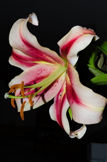 KR7 7535