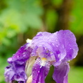 KR7_6809.jpg