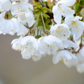 KR7_4289.jpg