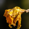 KR7 8588