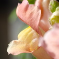 KR7 0157
